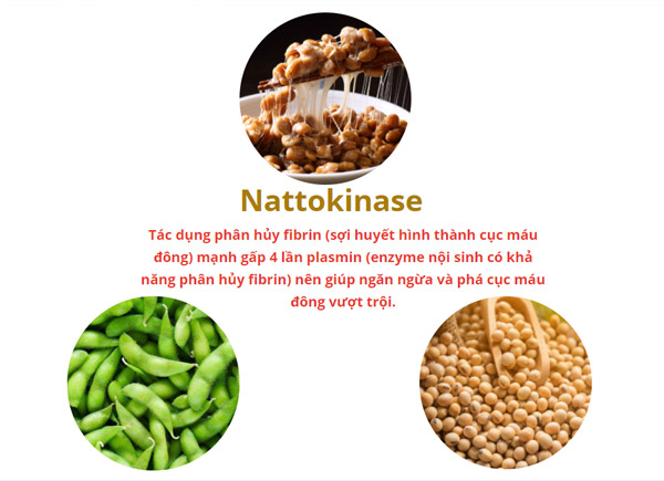 Nattokinase giúp làm tan cục máu đông, phòng ngừa tai biến nhẹ 
